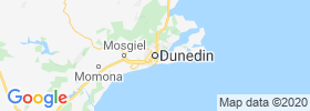 Dunedin map